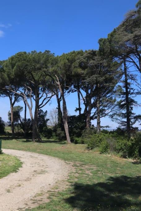 Bastide Juliana Saint-Paul-Trois-Châteaux Exterior foto